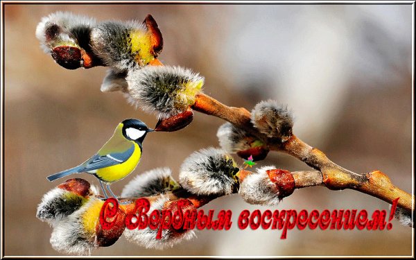 file_90226708