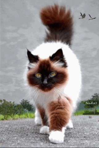 file_62591063