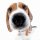 svchostviewer