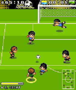 euro football 176x220 se