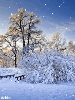 file_59616641