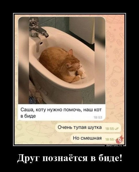 Друг познаётся в биде