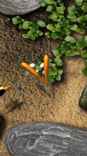 Koi Free Live Wallpaper 1.9 Apkpure