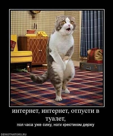 getImage2849
