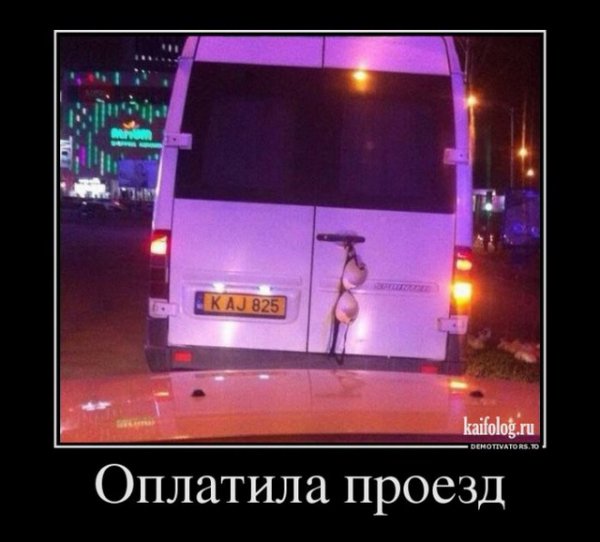 file_64857787