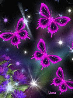 file_61758081