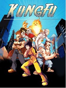 x320(se v2)-kung fu put bojca