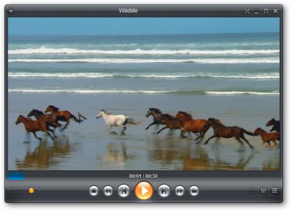 zoom player home free 800 rc1 rus