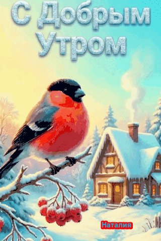 file_102263282