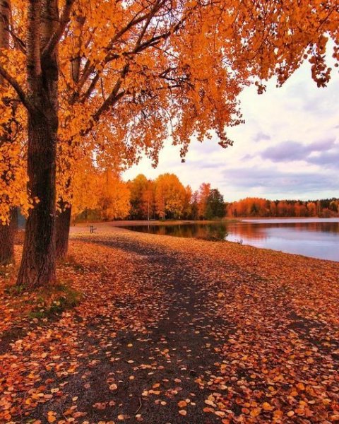 Dc02af7013ca0df4d681a55e7fcbc5e9