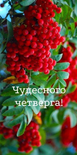 file_95013590