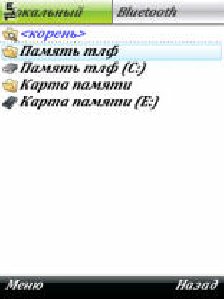 BlueFTP v.1.60