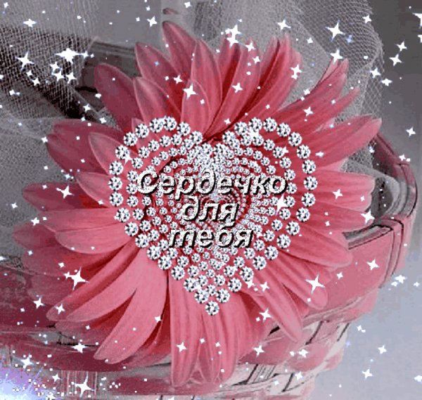 IMG 20190427 210004