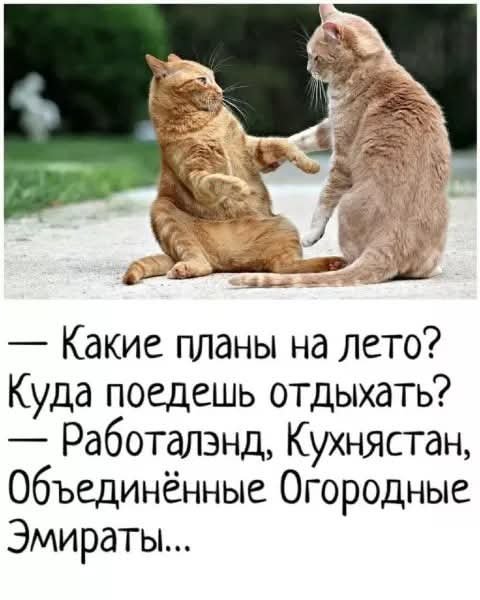 FB IMG 1778268786764