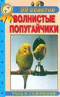 Волнистые попугайчики. Уход и содержание