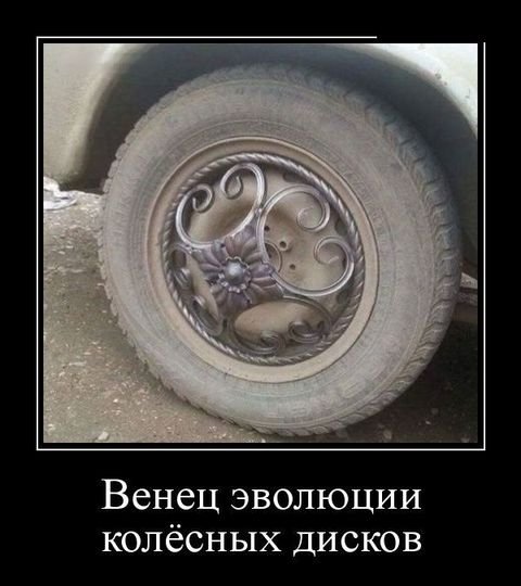 file_78491781