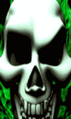 skull240x4 nbrnlj4x