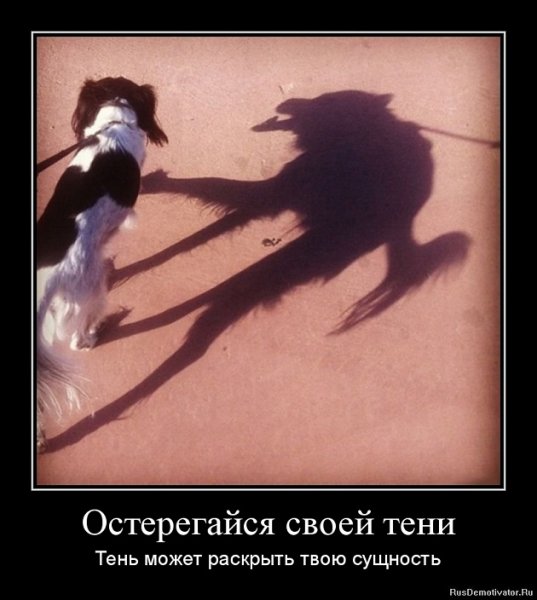Остерегайся своей тени
