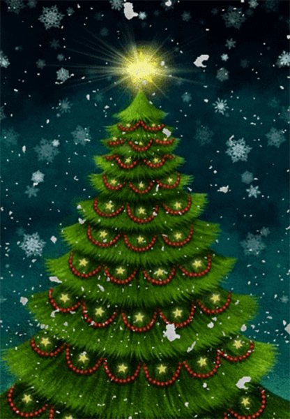 IMG 20231215 063231