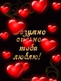 file_56582817