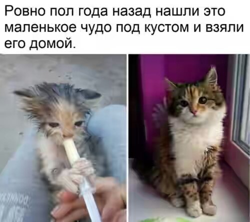 fotomemy-28