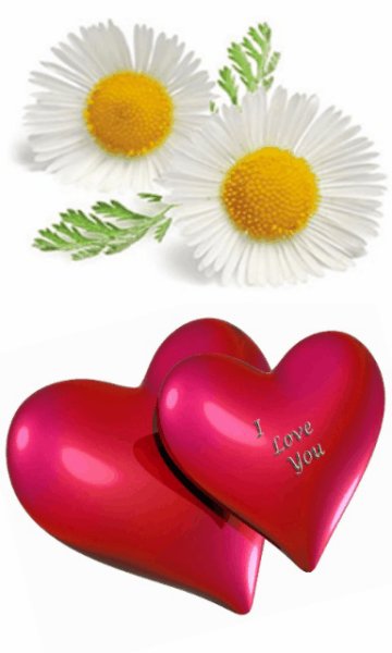 Gif Amour Passion