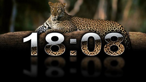Clock Digital Leopard nextwindows.ru