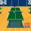 3D Slam Ping Pong