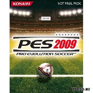 PES 2009 176x208