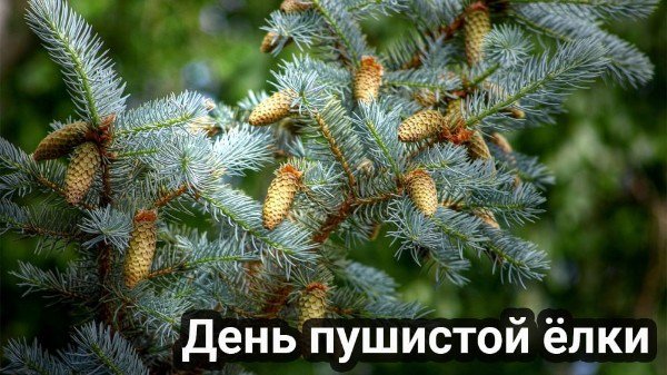 file_95433840