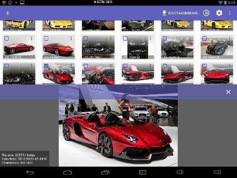 DiskDigger Pro 1.0-pro-2016-01-02