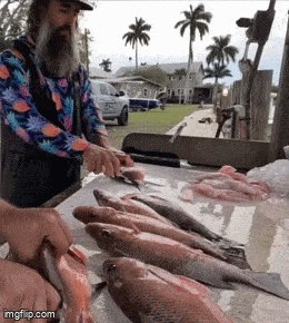 Ф.Фьюить