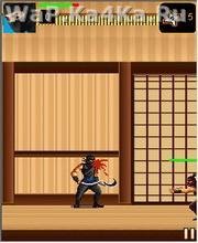 Ninja warrior