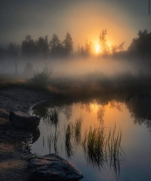 file_102660374