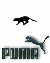 Puma2