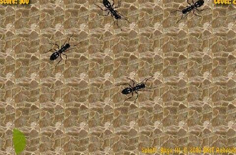 Splat-bugs-iii-free