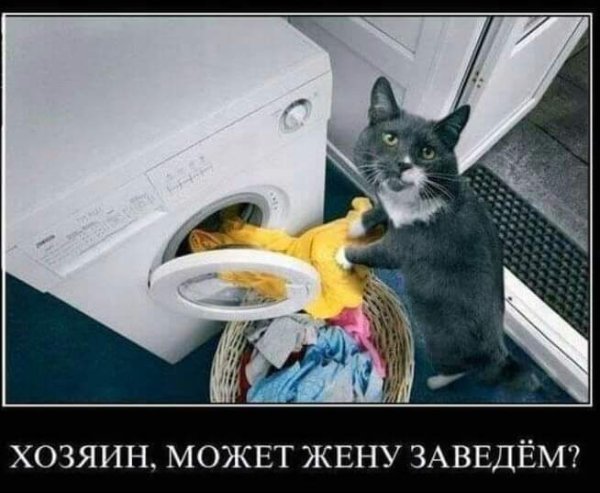 FB IMG 1593674867946