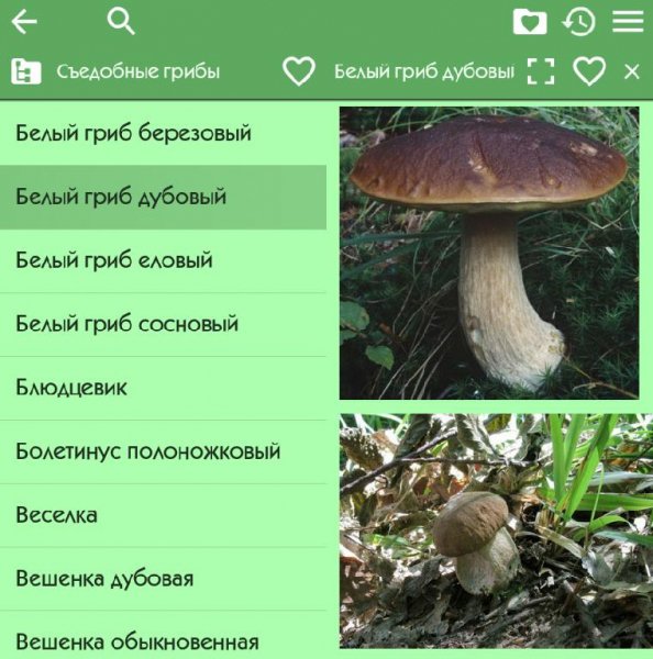 Справочник грибов 2.96 Рекламы нет
