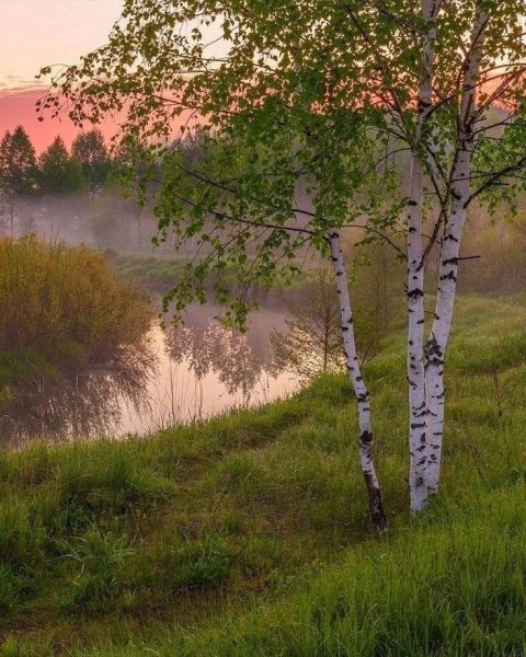 file_102431588