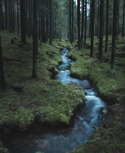 file_101955884