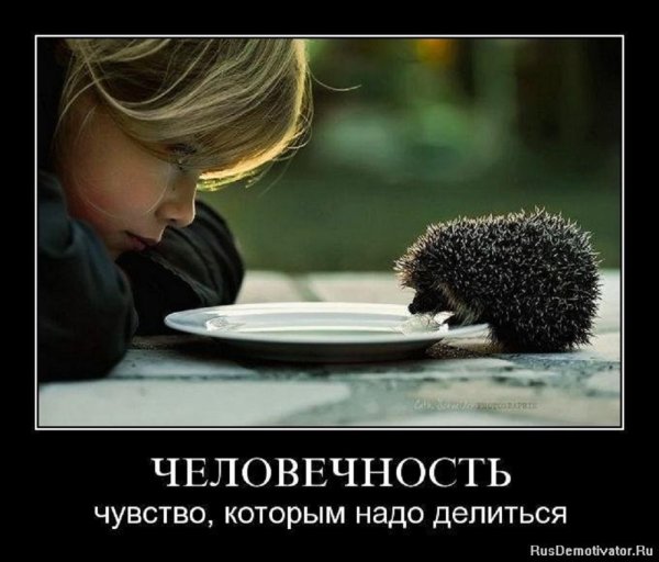 ЧЕЛОВЕЧНОСТЬ