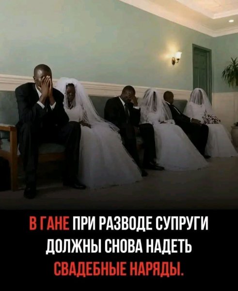 FB IMG 1778146010196