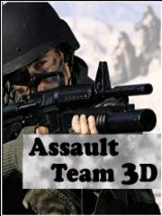 AssaultTeam3D