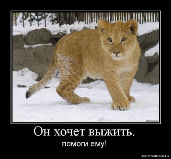 Он хочет выжить