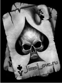 jimm