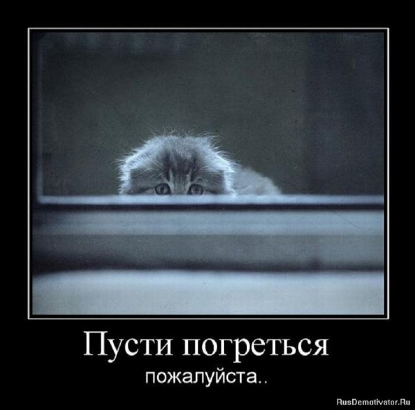 Пусти погреться