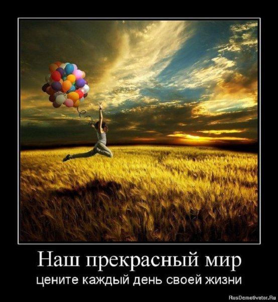 Прекрасный мир