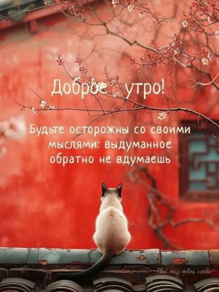 file_101433551