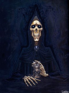 Skull73240x320