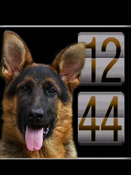 55